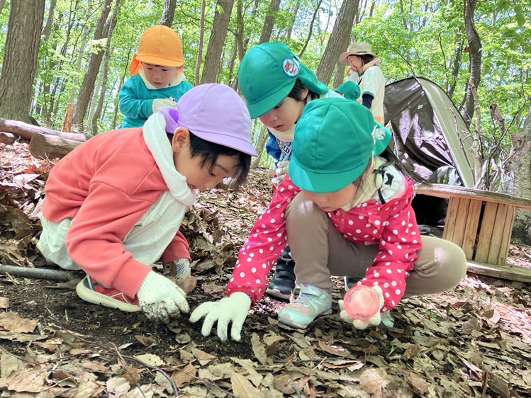 【コクサイの森】敷地内にある整備された森に虫探しや自然ならではの遊びを行います