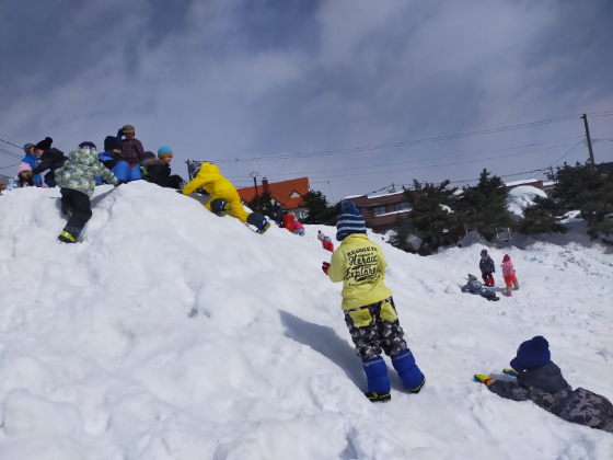 清田中央公園☆雪山からお尻滑りをしたり、木の下に秘密基地を作ったり、雪玉をたくさん作りアスレチックにしたりと、それぞれ思いっきり遊んできたよ☆