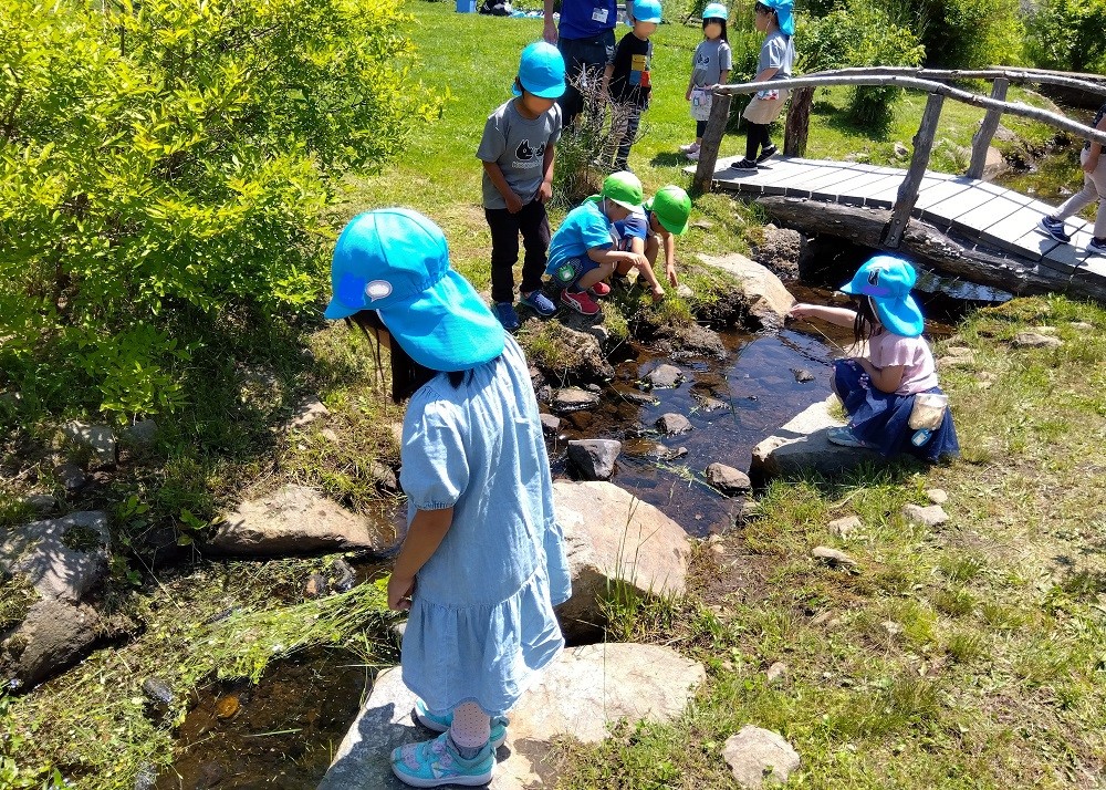庭園の森の様子です☆